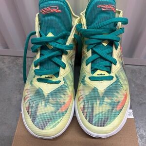 LEBRON 18 LOW LeBronald PALMER  size 9